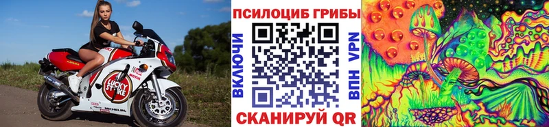 Галлюциногенные грибы мицелий  Щёлкино 