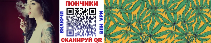 хочу маркетплейс клад Шишки марихуана White Widow Щёлкино